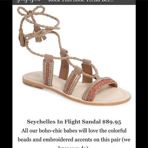 Seychelles gladiator in flight sandals